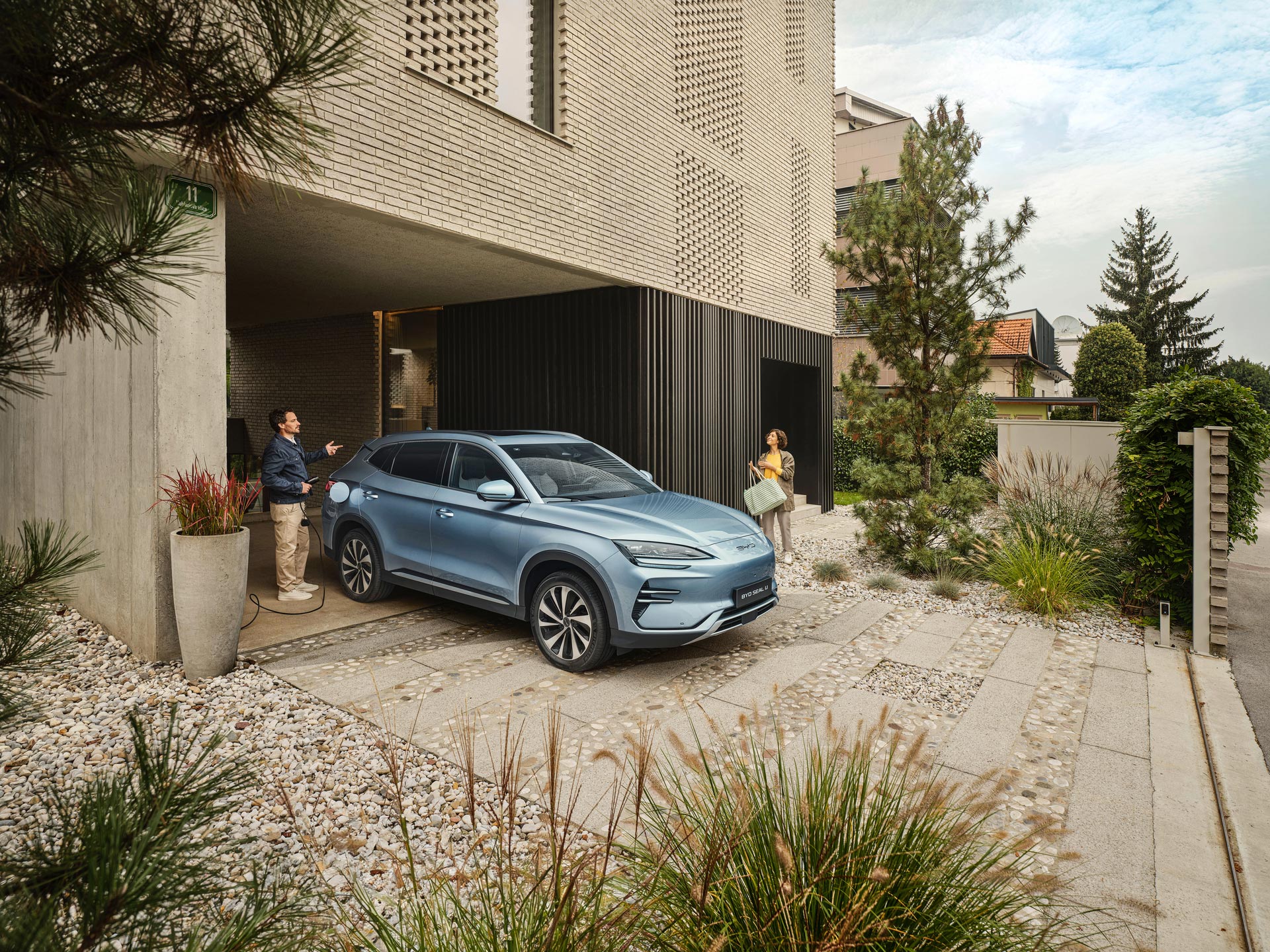 Grå Byd Seal forfra