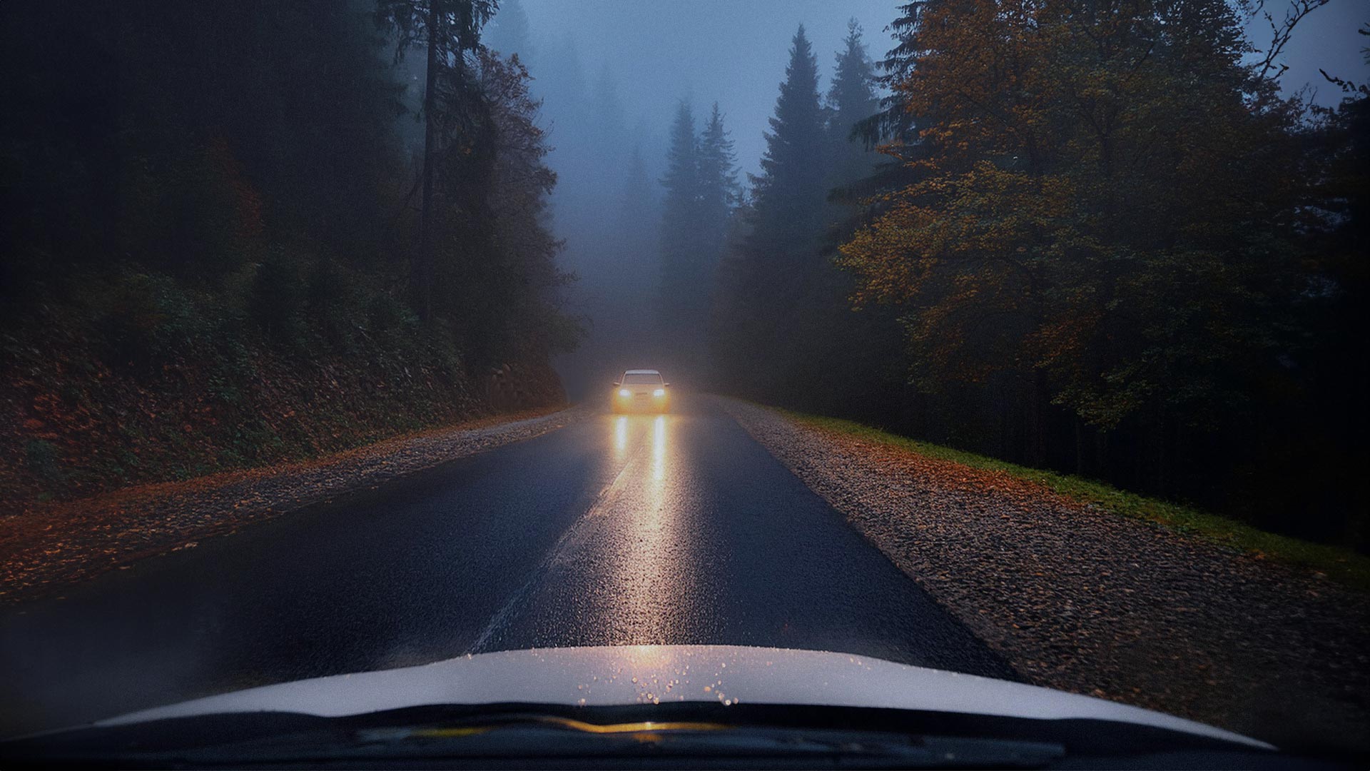 Sikker på at du har gode lys på bilen i den mørke årstiden? 